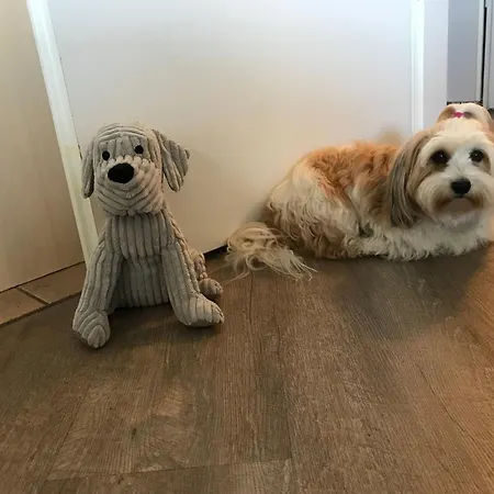 Appartement Seepark 682 Haus Moenchgut Sellin (Rugen)