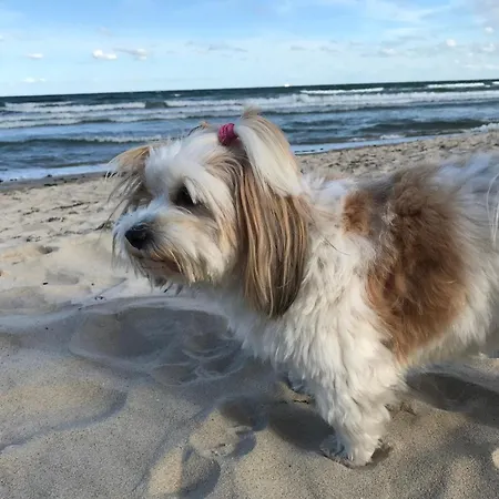 Seepark 682 Haus Moenchgut